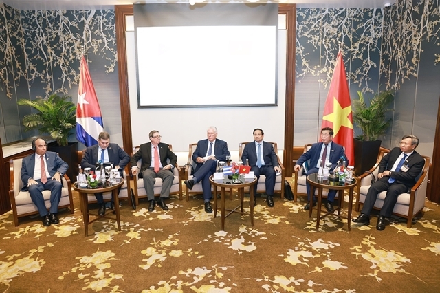 Top Cuban leader commits greater incentives for Vietnamese enterprises